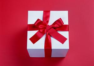 お手頃価格で素敵な日本製のレッスンバッグ